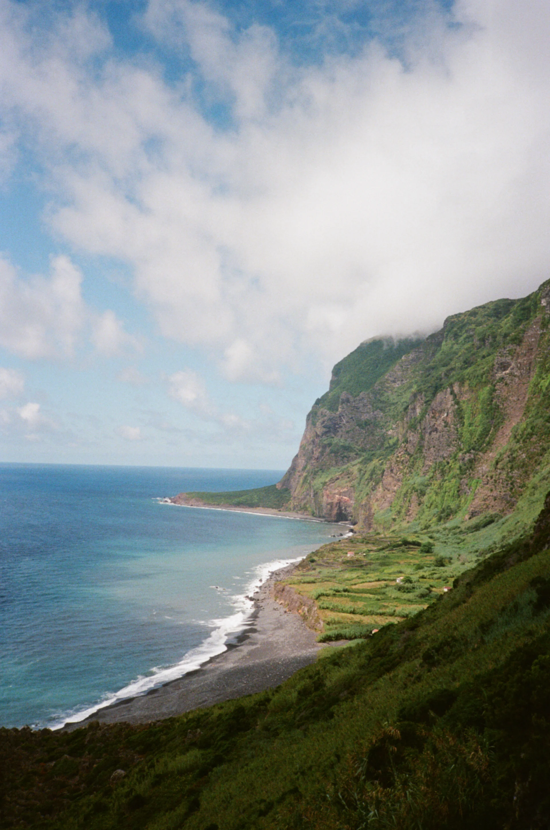 taken with an olympus xa2