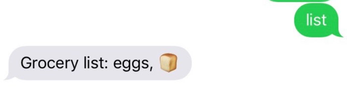 text conversation with the bot