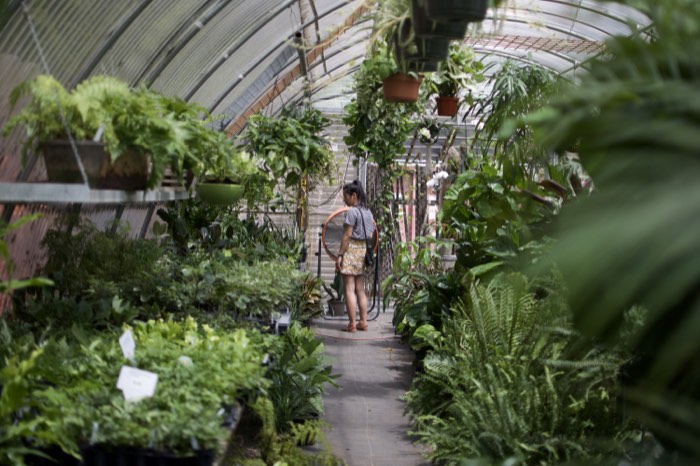 a woman standing in a greenhouse