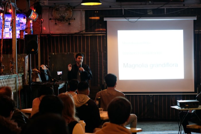 me, presenting, at wafflejs